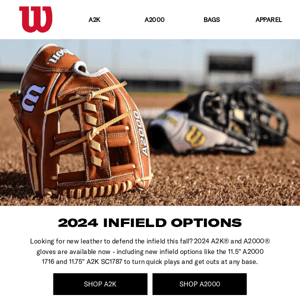Infield Glove Expertise