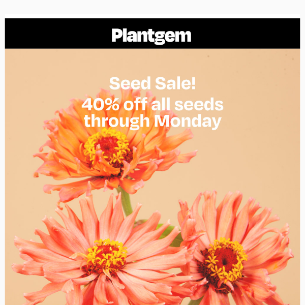 40% off all Flower Seeds (through Monday)