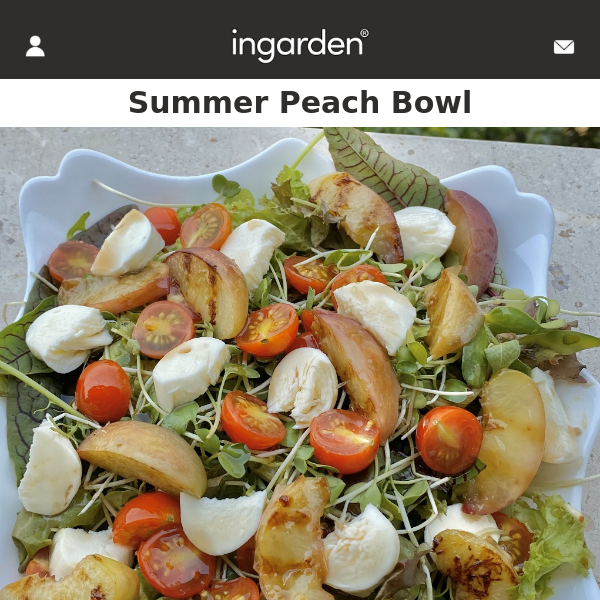 Recipe of the Week: Summer Peach Bowl 🍑