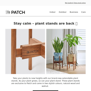 Plant stands are back 🎉