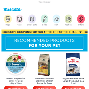 Your pet's favourite products 💕 Now with discount