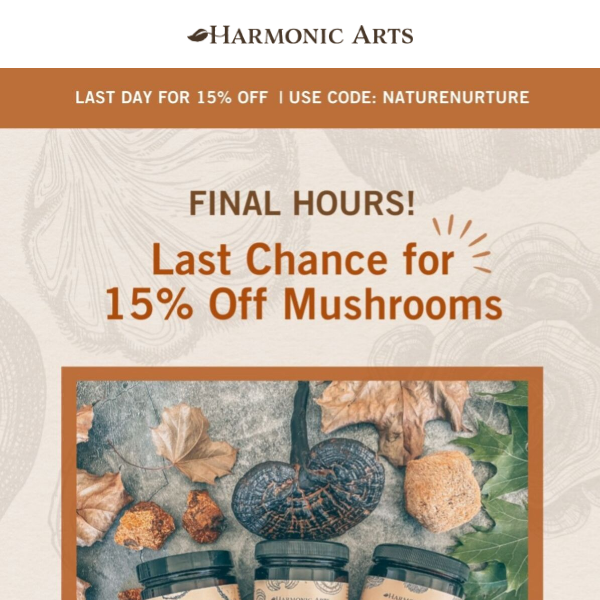 Last chance to save 15%