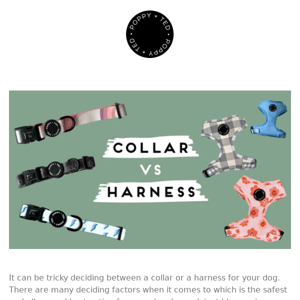 Harness Vs Collar: Which Is Better For Your Dog?