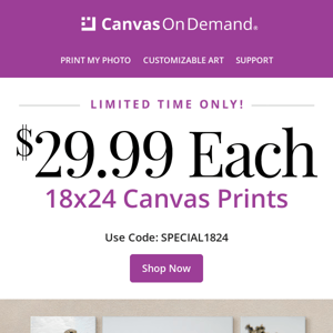 Limited Time: $29.99 18x24 Canvas Prints