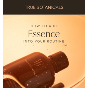 How to Use Essence Correctly ✅