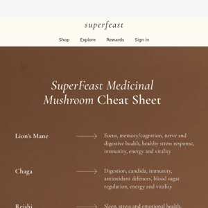 SuperFeast Medicinal Mushroom Guide & Special Offer 🍄🎁