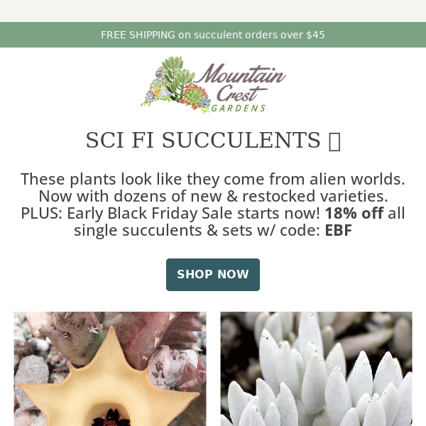 Sci Fi Succulents 👽