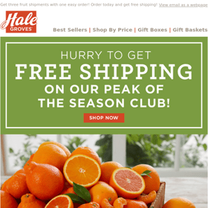 Hurry to get Free Shipping on our Peak of the Season Club!!
