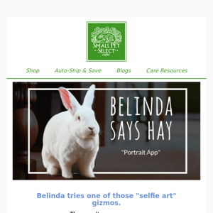 Belinda Says Hay: "Portrait App"