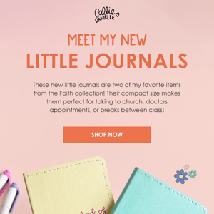 Meet the Little Journals 🥰