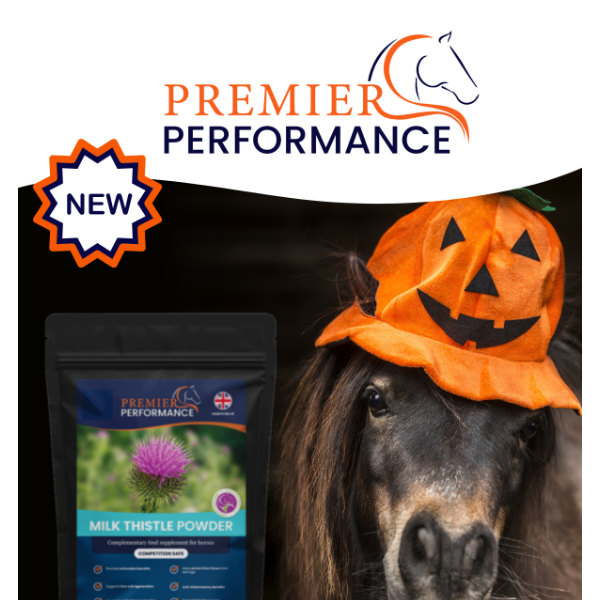 ⭐Your Horse Live, Bonfire Madness and a NEW Product ⭐