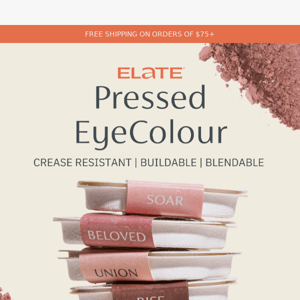 Pressed Eyecolour: a best seller for a reason! 👀