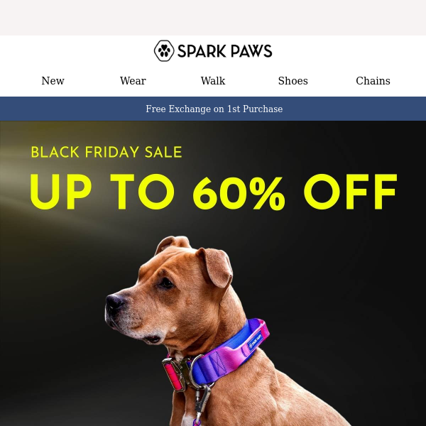 Upgrade Your Dog's Gear: Best Deals on Black Friday