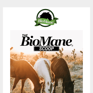 LIVE NOW: The BioMane Scoop