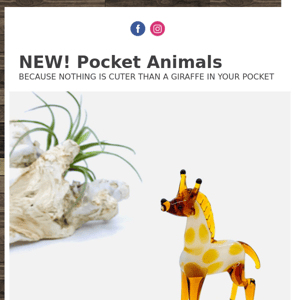 Do You Have a Pocket Giraffe? 🦒