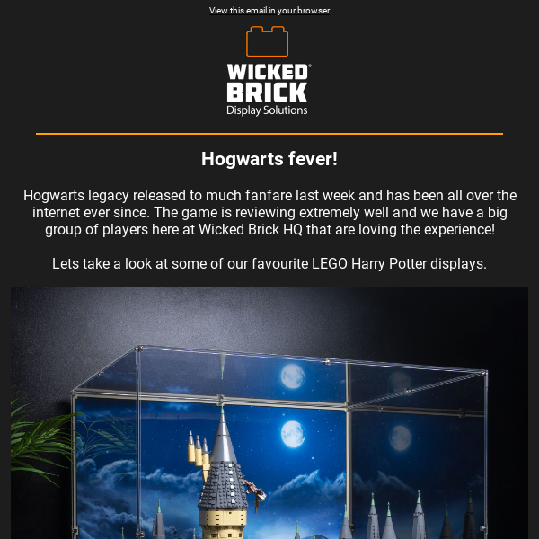 Display cases and solutions for LEGO® Harry Potter — Wicked Brick