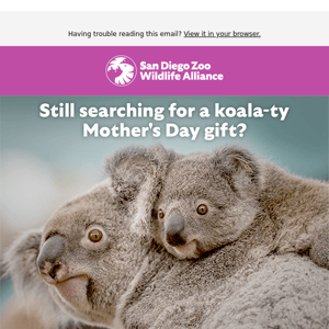 San Diego Zoo, there's still time!