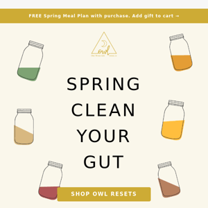 Spring Clean Your Gut 🌸