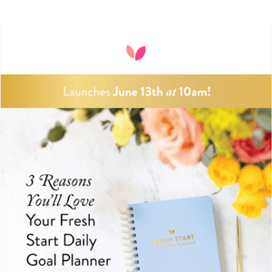 3 reasons you'll love the Fresh Start Daily Goal Planner! 📒