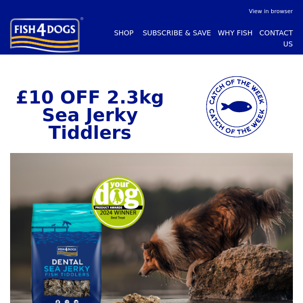 Sea jerky outlet tiddlers