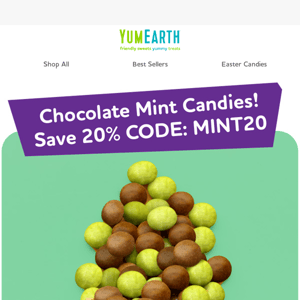 National Chocolate Mint Day SALE 🥳