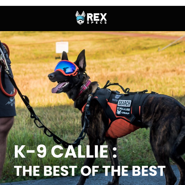 When Disaster Strikes, Call in K9 Callie