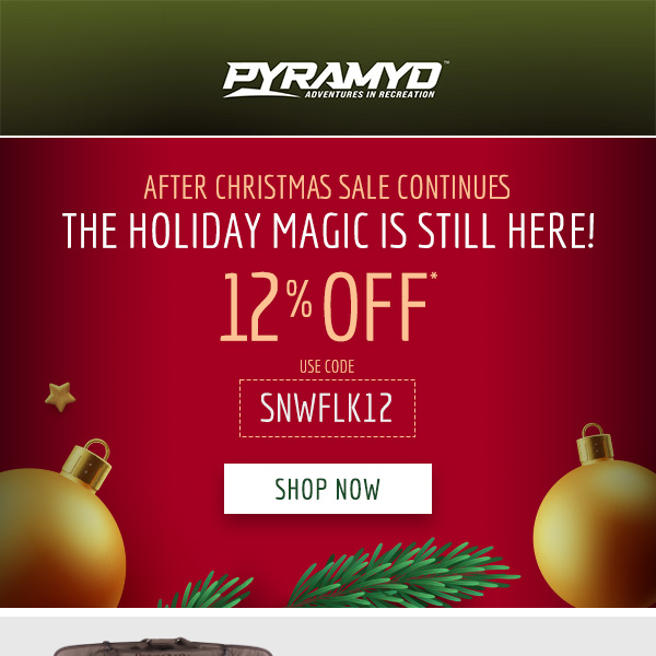 Extend Your Holiday Cheer: 12% Off Now!
