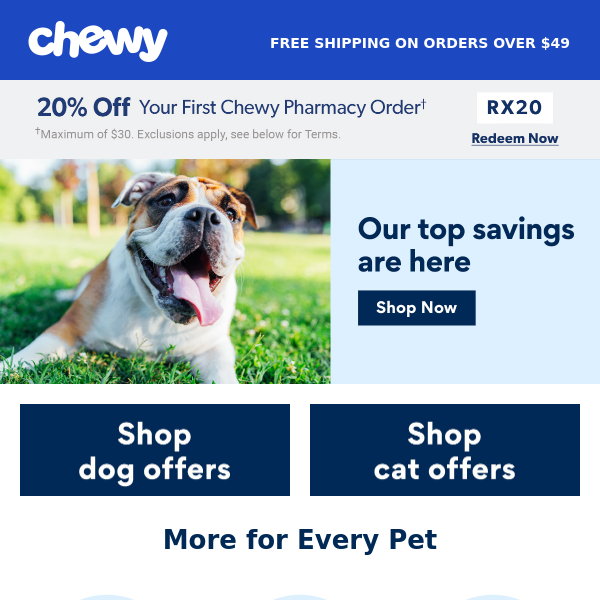 Exclusive Offers For Every Pet