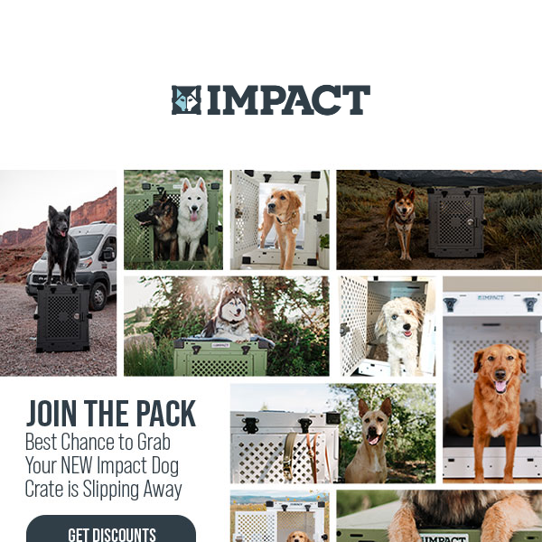 Impact dog crate outlet for sale