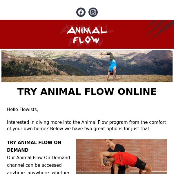 Try Animal Flow Online