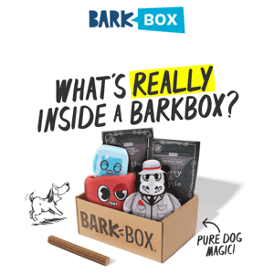 Psst: We've added a free extra toy to BarkBox's box.