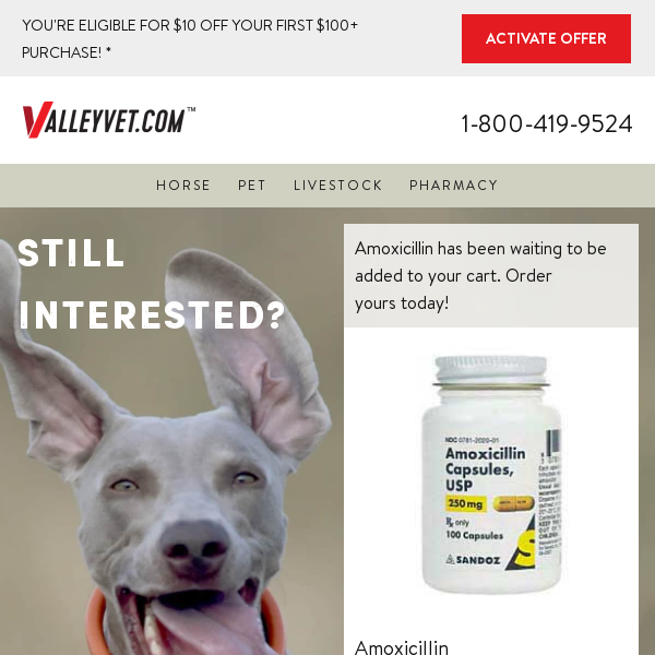 Still Interested in Amoxicillin? Save $10 When You Check Out