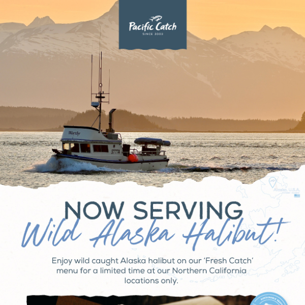 Wild sustainable Alaska halibut – available now