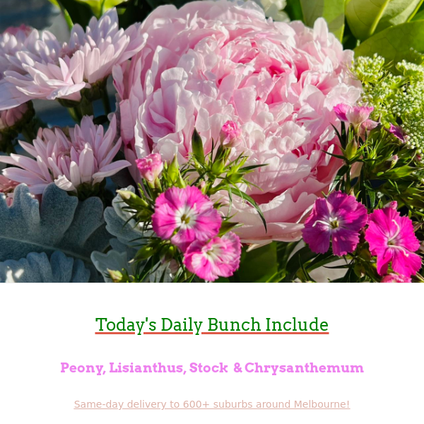 Captivating Peonies: Embrace the Beauty of These Exquisite Blooms on Friday