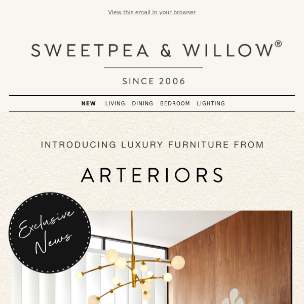 New Brand Collaboration: Arteriors 🌟