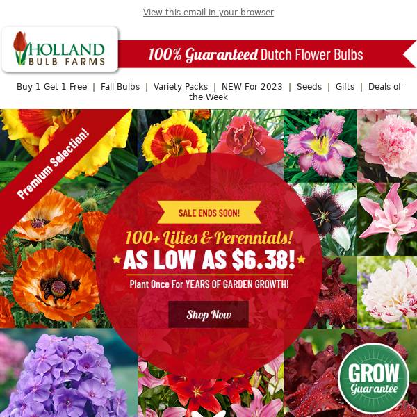 TICK-TOCK ⏰ Perennials as LOW as $6.38!