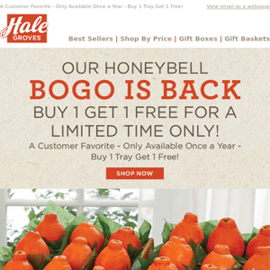 Our Honeybell BOGO is BACK- Buy 1 Get 1 Free for a Limited Time ONLY!