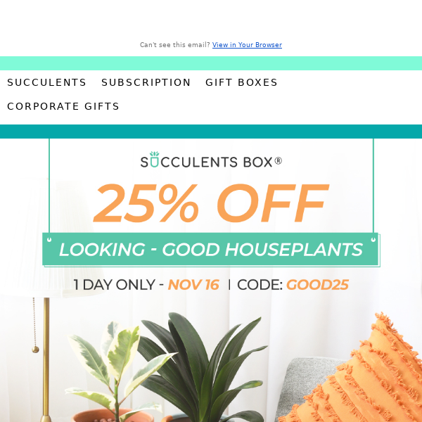 One day only! Save 25% on selected houseplants 🌿