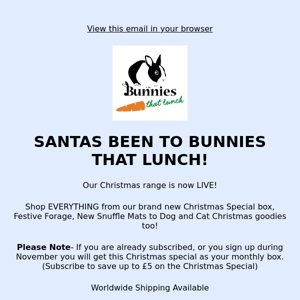 Santa Paws Arrives at Bunnies That Lunch 😍