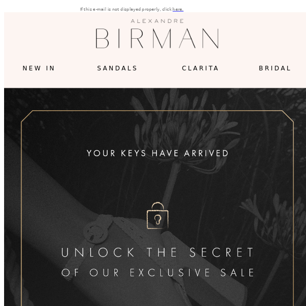 Exclusive Sale: Unlock the Secret