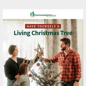 Why Not Plant Your Christmas Tree This Year?