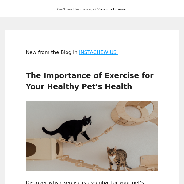 Discover the Importance of Exercise for Your Pet's Health with INSTACHEW US