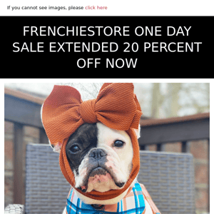 FRENCHIESTORE ONE DAY SALE EXTENDED 20 PERCENT OFF NOW