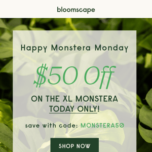 Monstera Monday- Celebrate with $50 Off