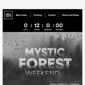 Last Chance to Get Mystic Forest