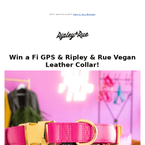 Win a Fi GPS & Ripley & Rue Collar ✨ Enter Now