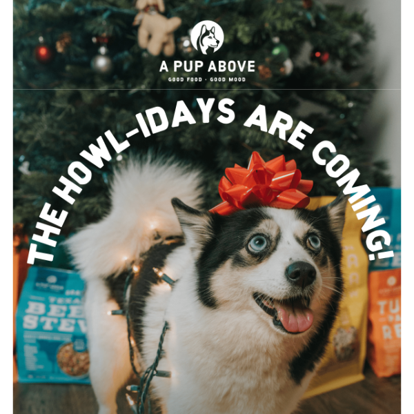 Spend the howl-idays with your pup!