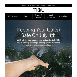 Keep Your Cat(s) Safe On 7/4