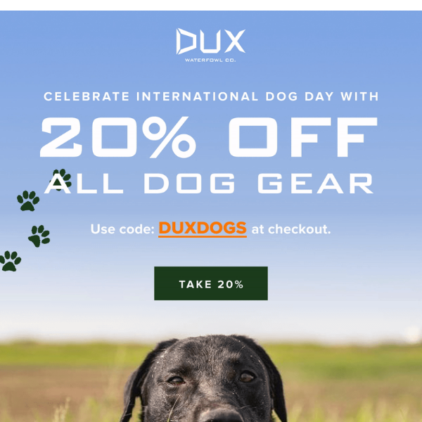 TODAY ONLY 20% OFF Dog Gear 🐶