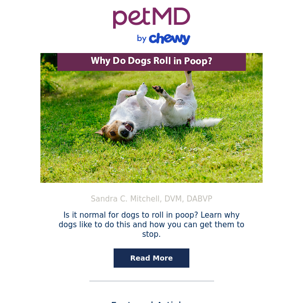 Why Do Dogs Roll in Poop?